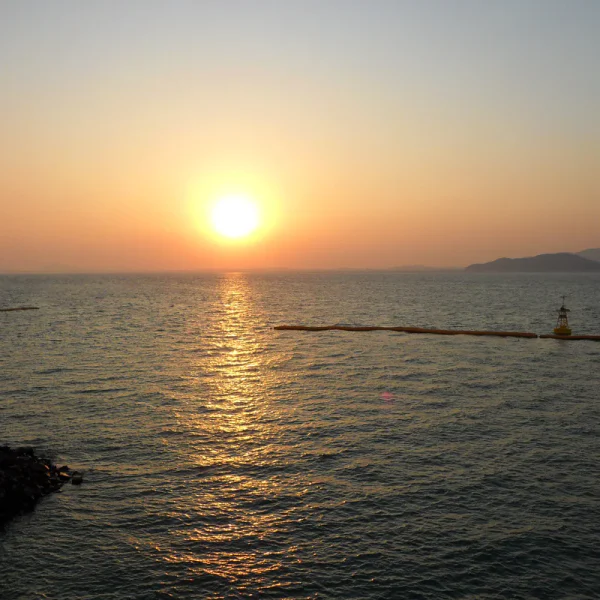 포레스트 나나스튜디오 마사지 대표 안내 이미지