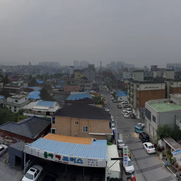 라운지 하니포레스트 테라피 대표 안내 이미지