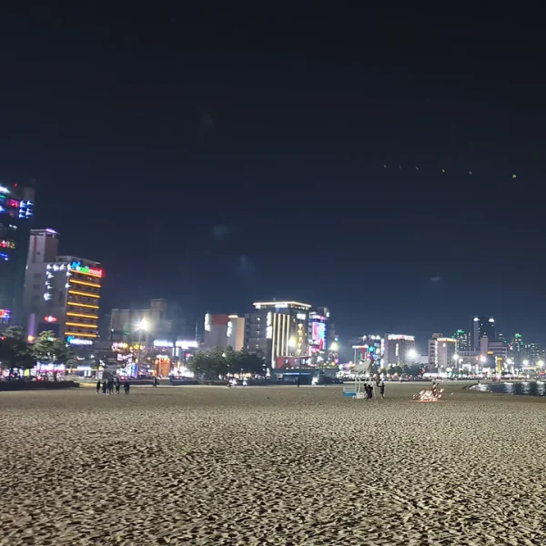 포레스트 사나아지트 테라피 대표 안내 이미지