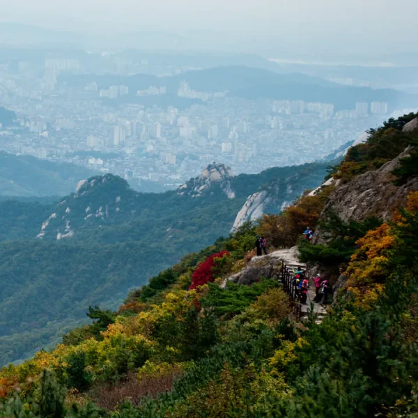 로열 루나스튜디오 홈타이 제휴업체 이미지